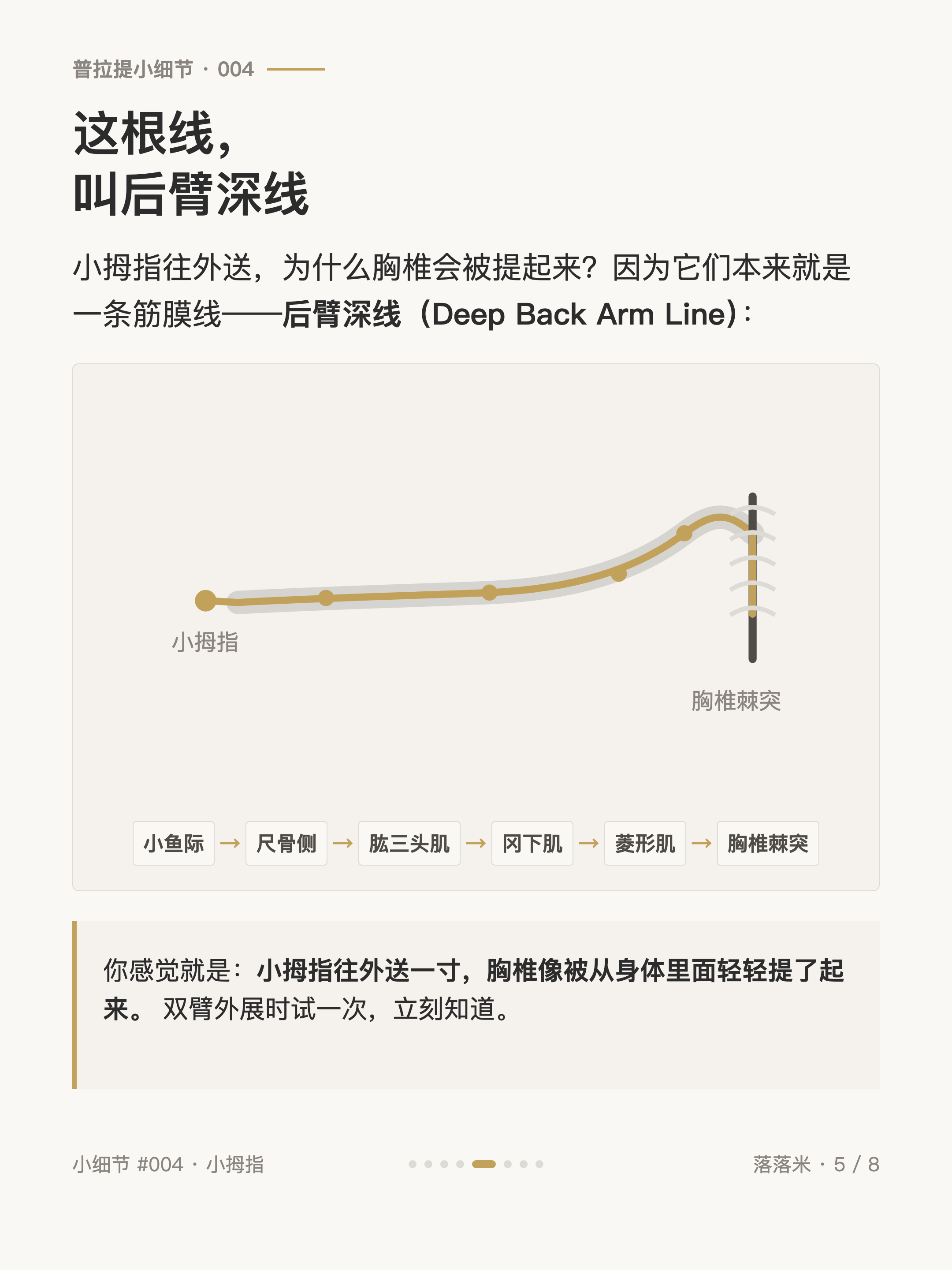 普拉提小细节 #004 卡5·这根线,叫后臂深线:从小鱼际连到胸椎棘突
