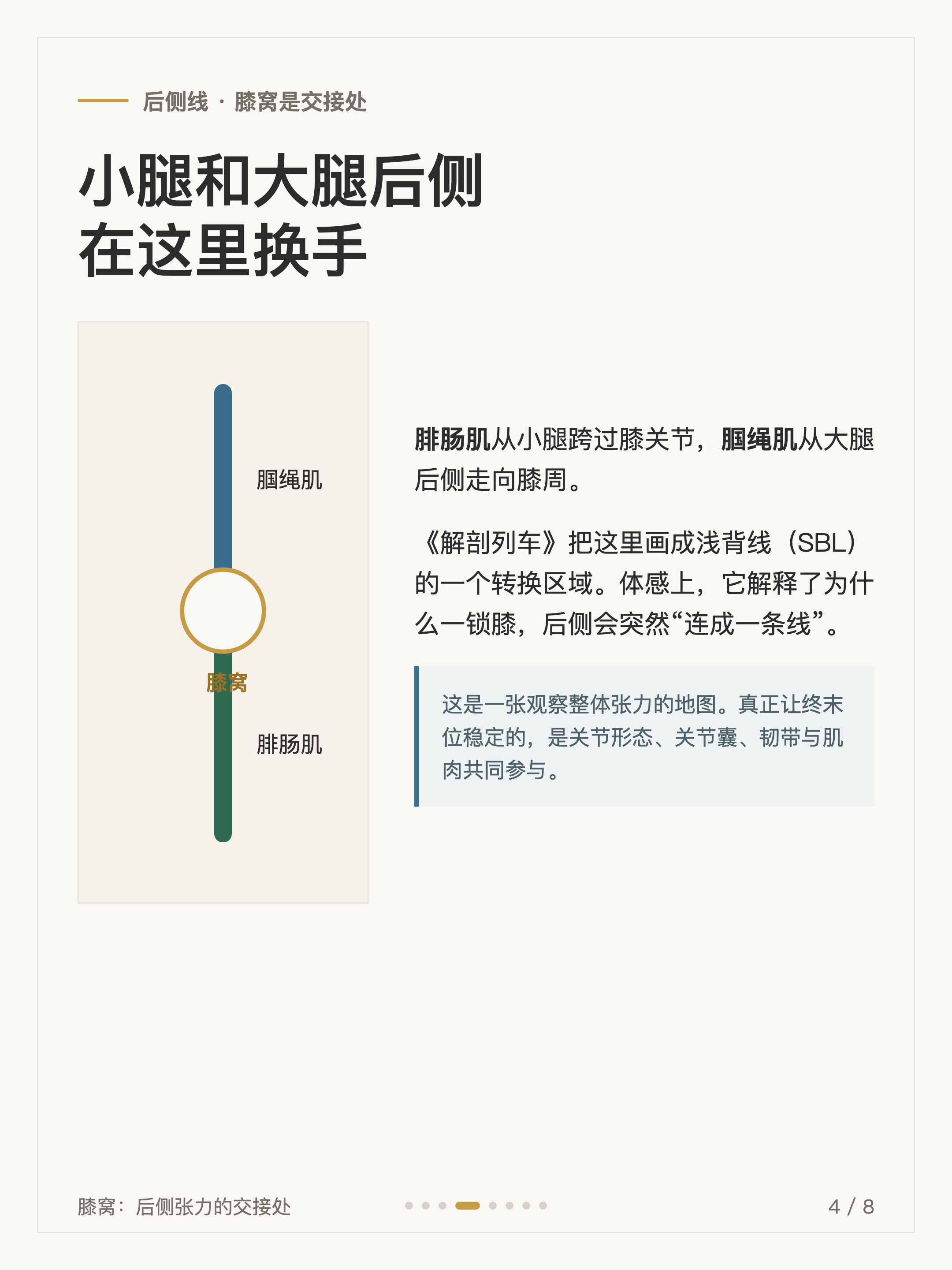 普拉提小细节 #005 卡4·后侧线交接:小腿和大腿后侧,在这里换手