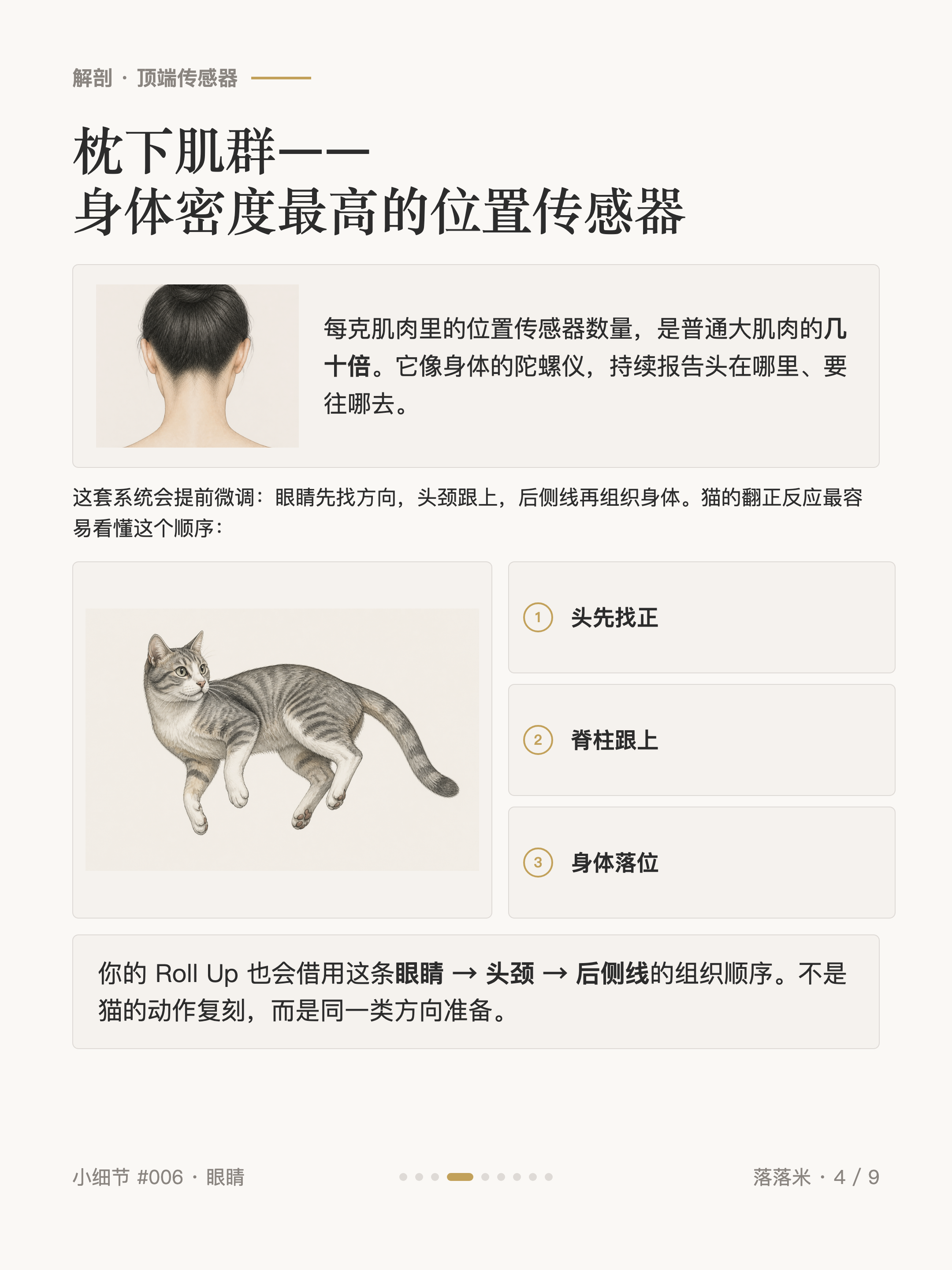 枕下肌群——身体密度最高的位置传感器