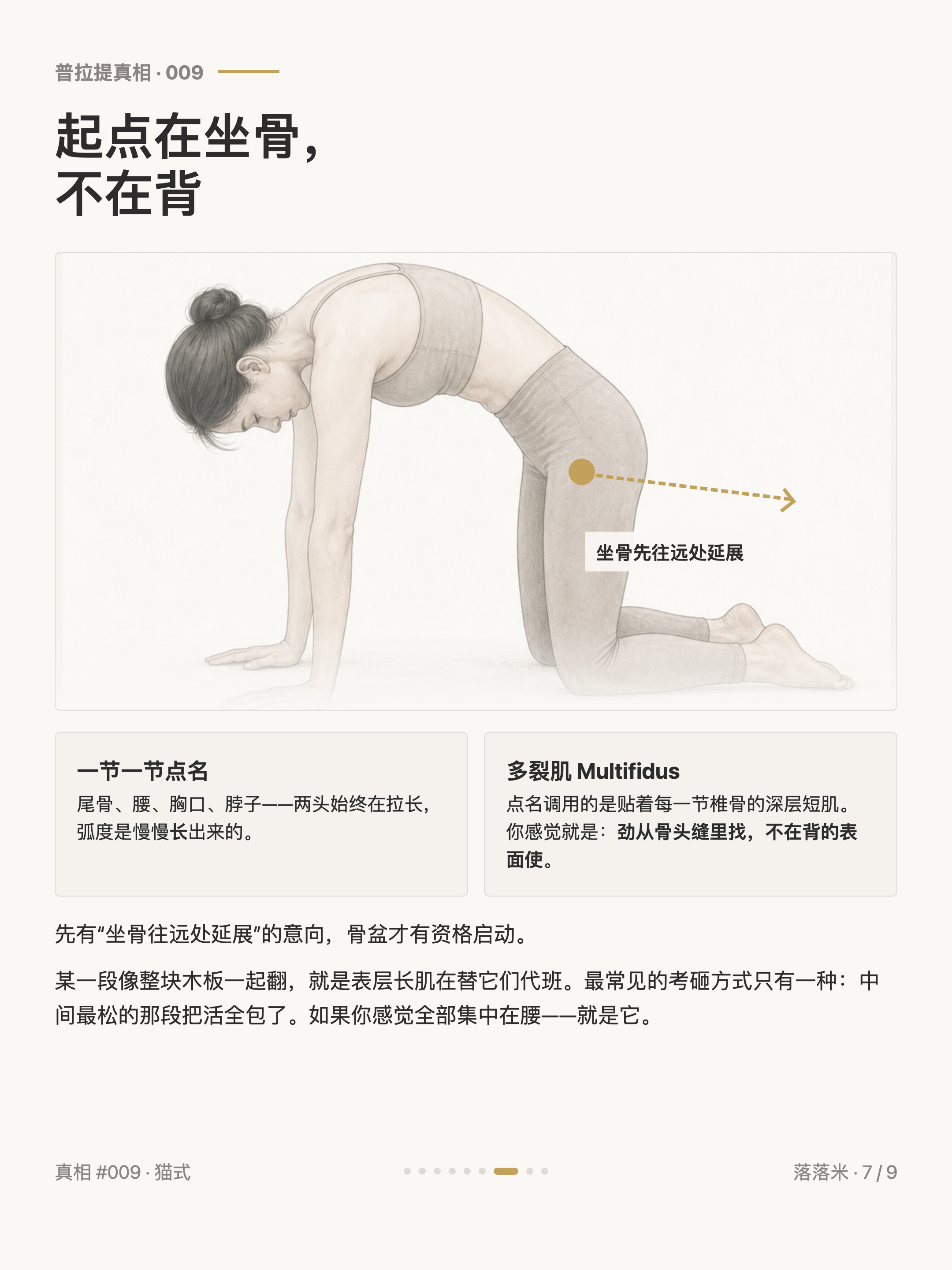 垫上按要求单做,它长这样:起点在坐骨,不在背
